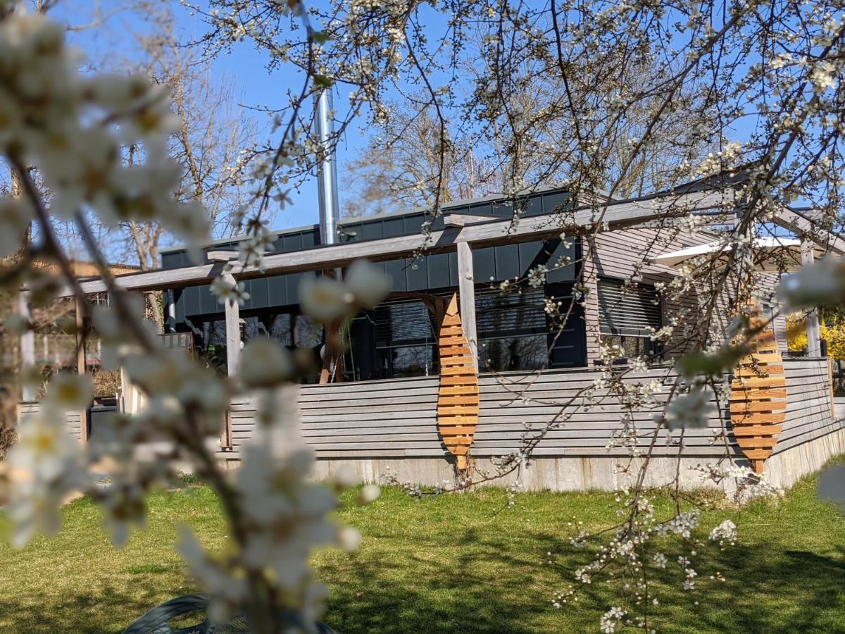 Ferienhaus Naturwerk Schwarzach am Main Luaran gambar