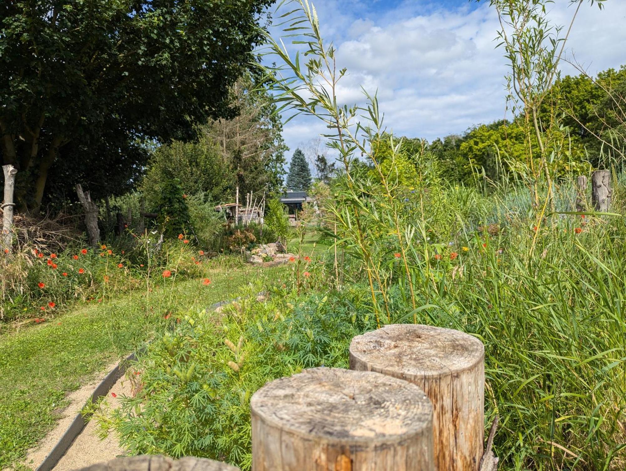 Ferienhaus Naturwerk Schwarzach am Main Luaran gambar